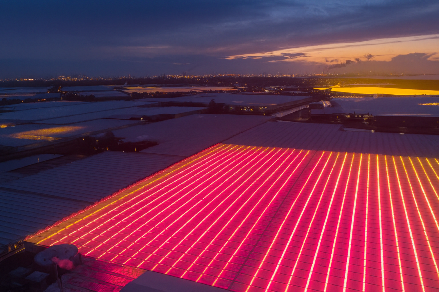 Greenhouse Suplemental Lighting